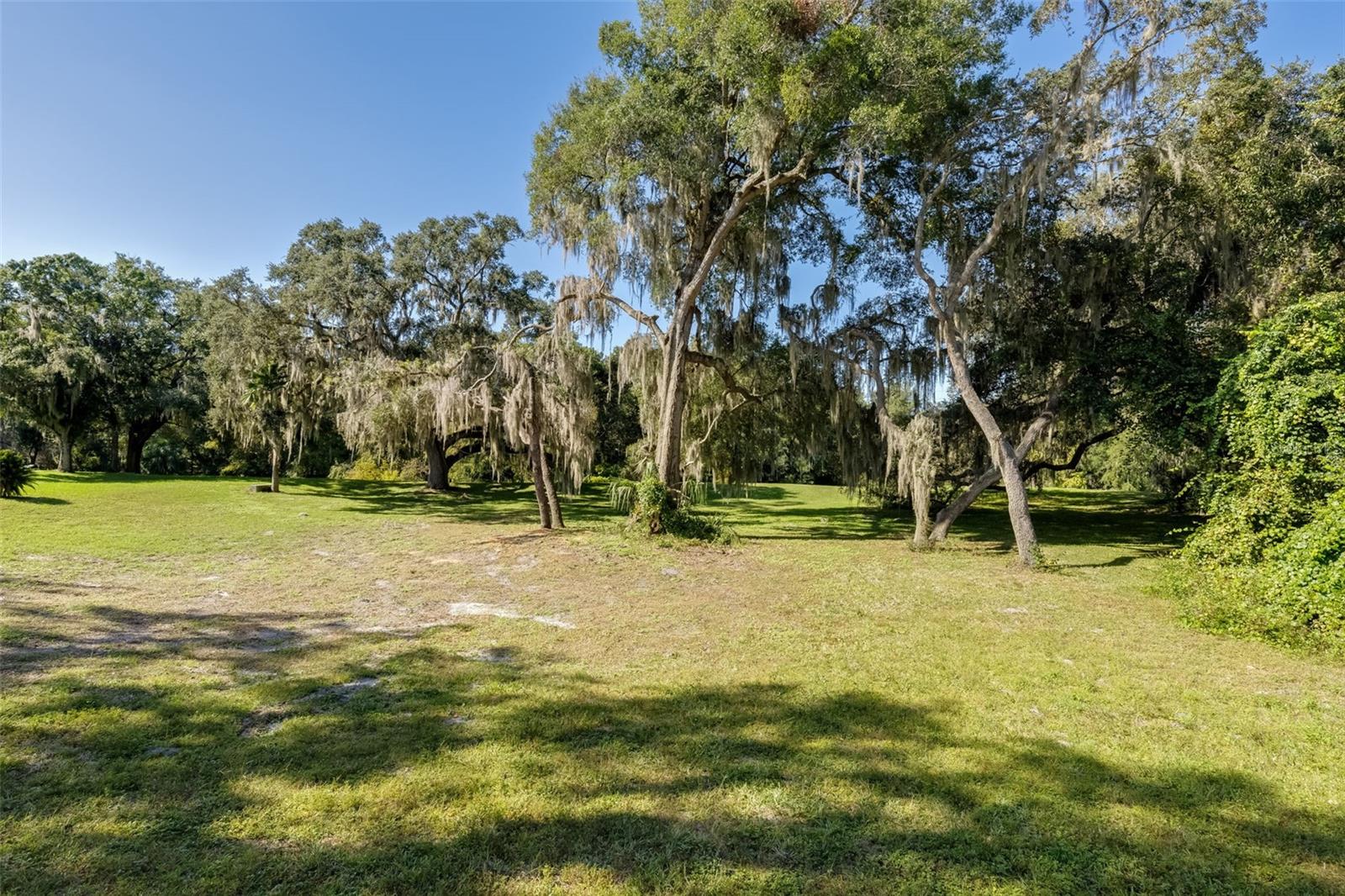 Image 62 of 81 For 101 Mango Cove