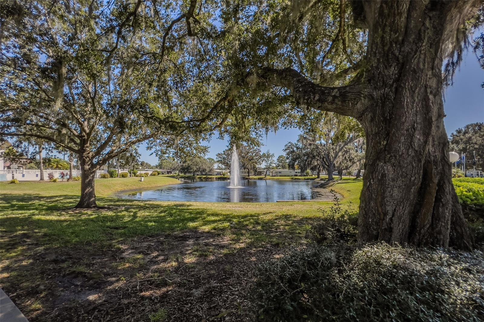 Image 63 of 81 For 101 Mango Cove