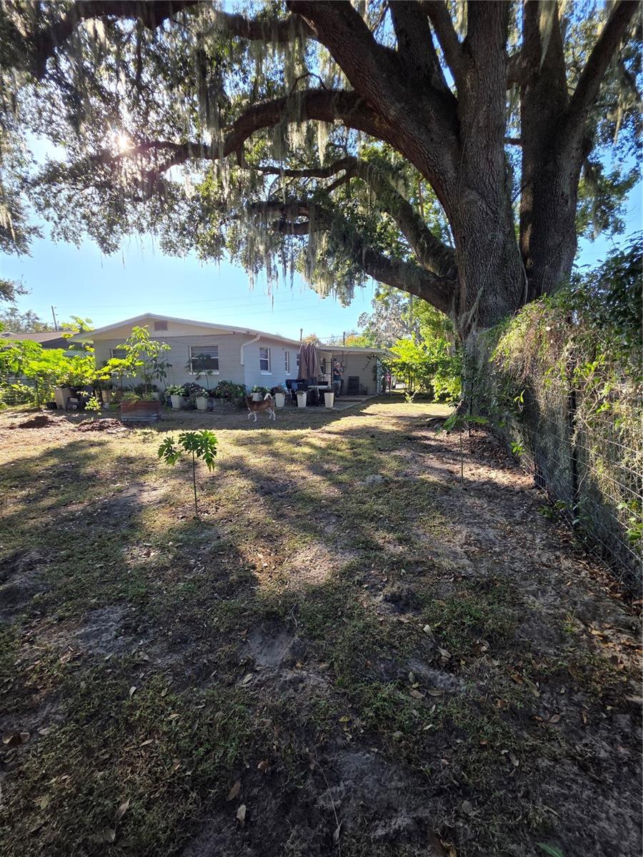 Image 22 of 25 For 804 Lone Oak Drive