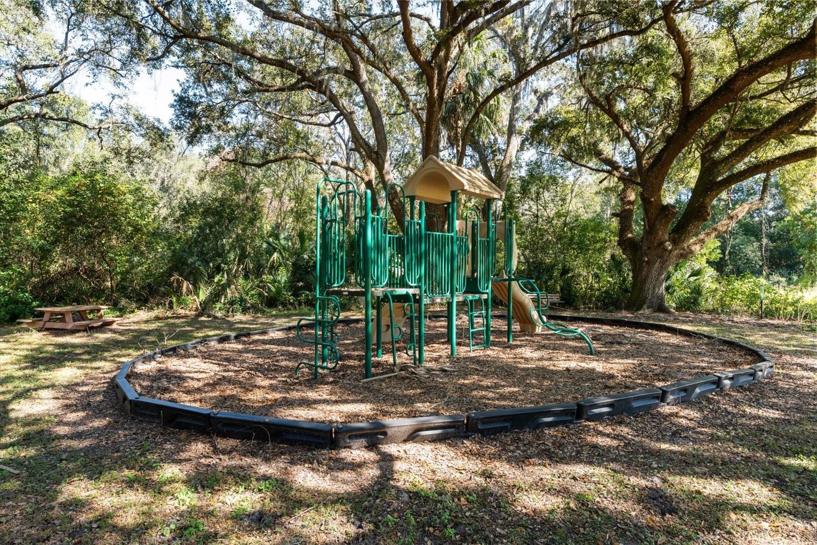 Image 38 of 38 For Lot 30 Trotting Horse Ln