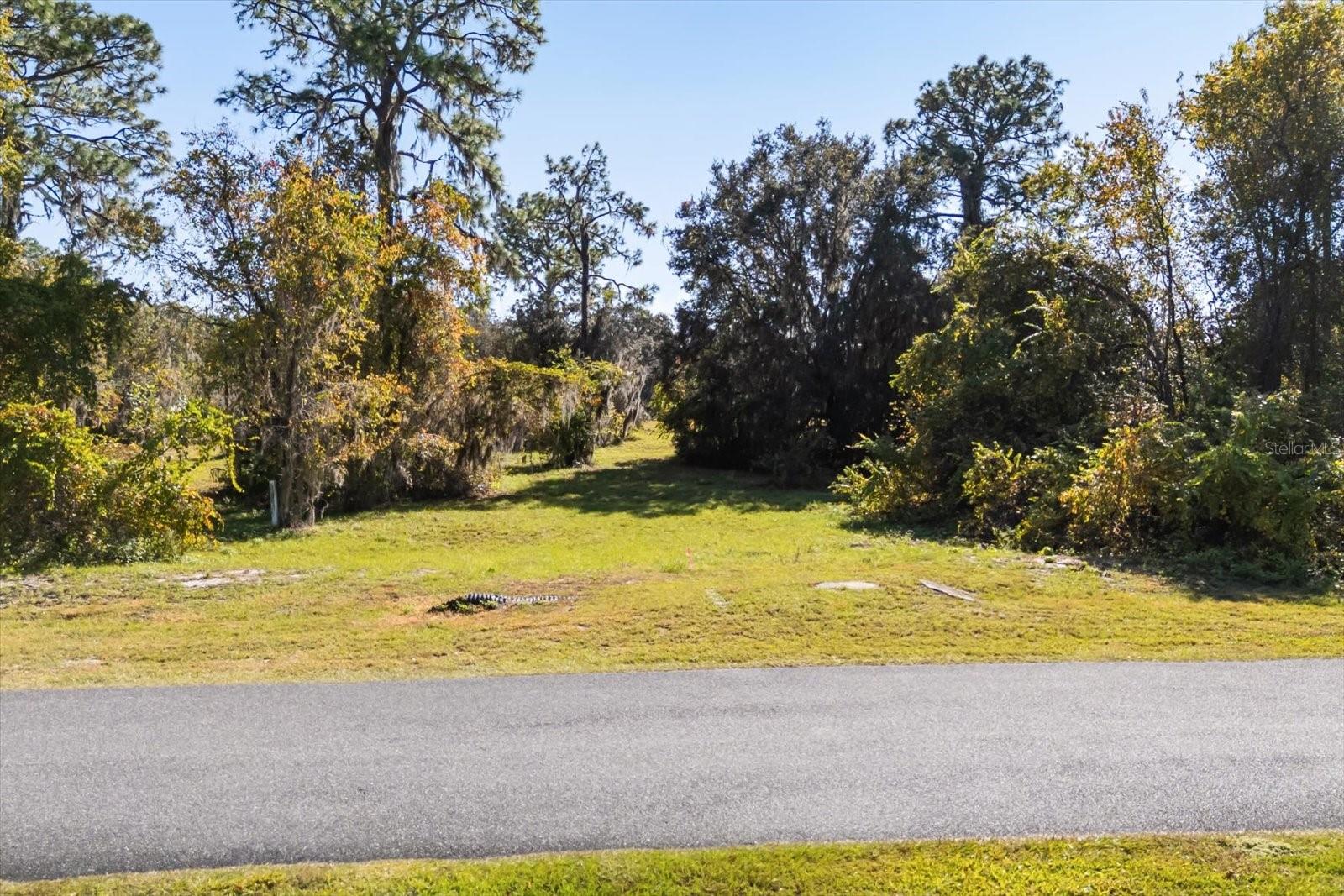 Image 7 of 38 For Lot 30 Trotting Horse Ln