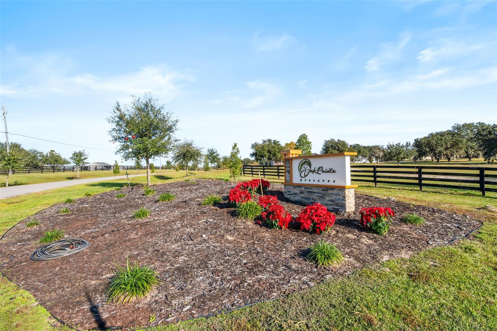 Image 12 of 13 For 9065 Oakheart Lane