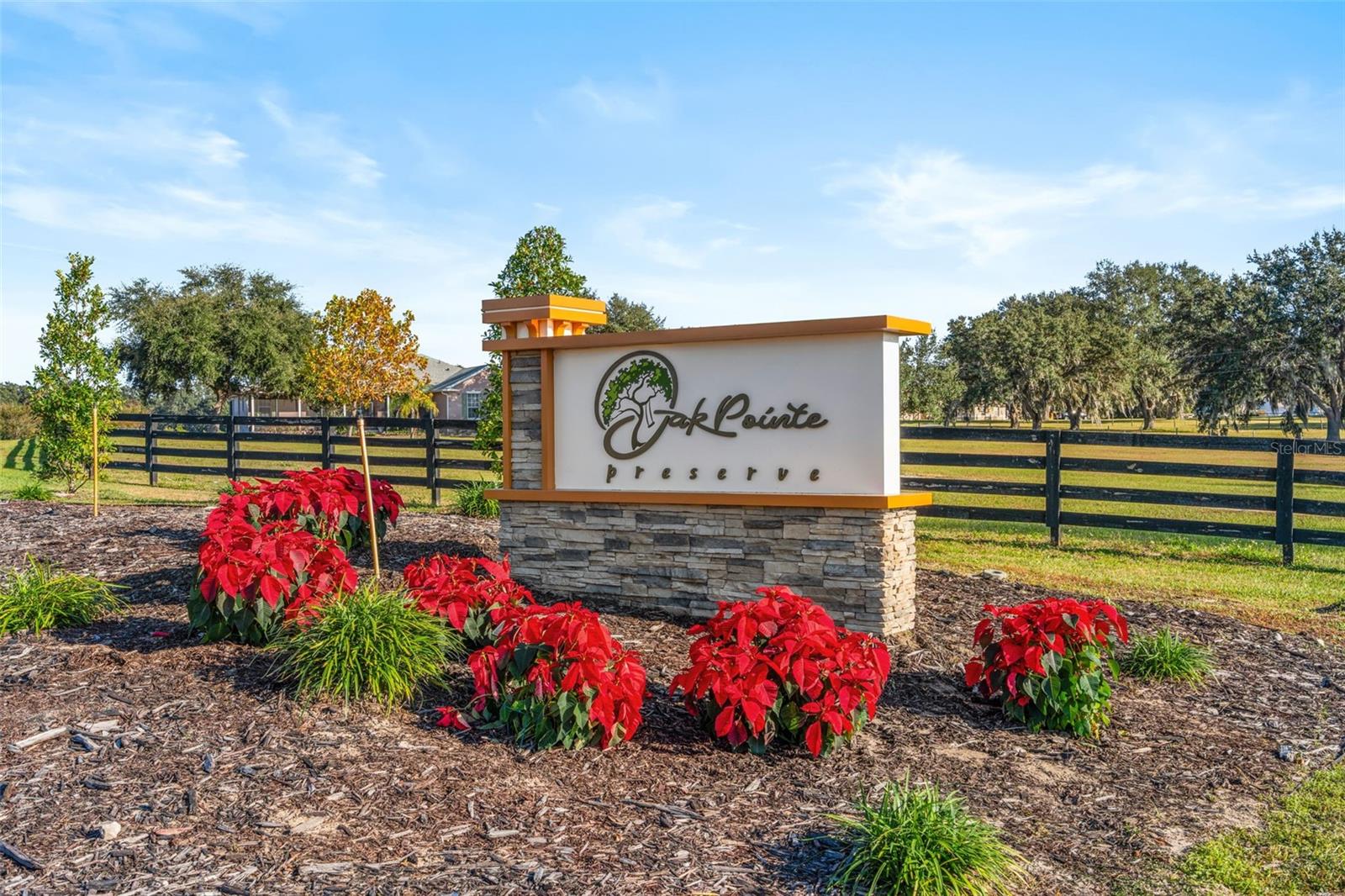 Image 13 of 13 For 9065 Oakheart Lane