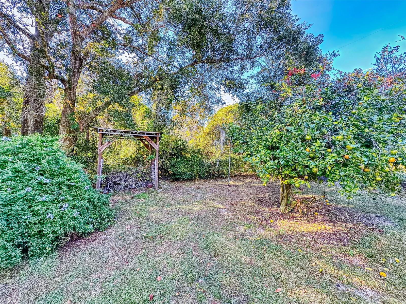 Image 55 of 100 For 3851 Thistlewood Way