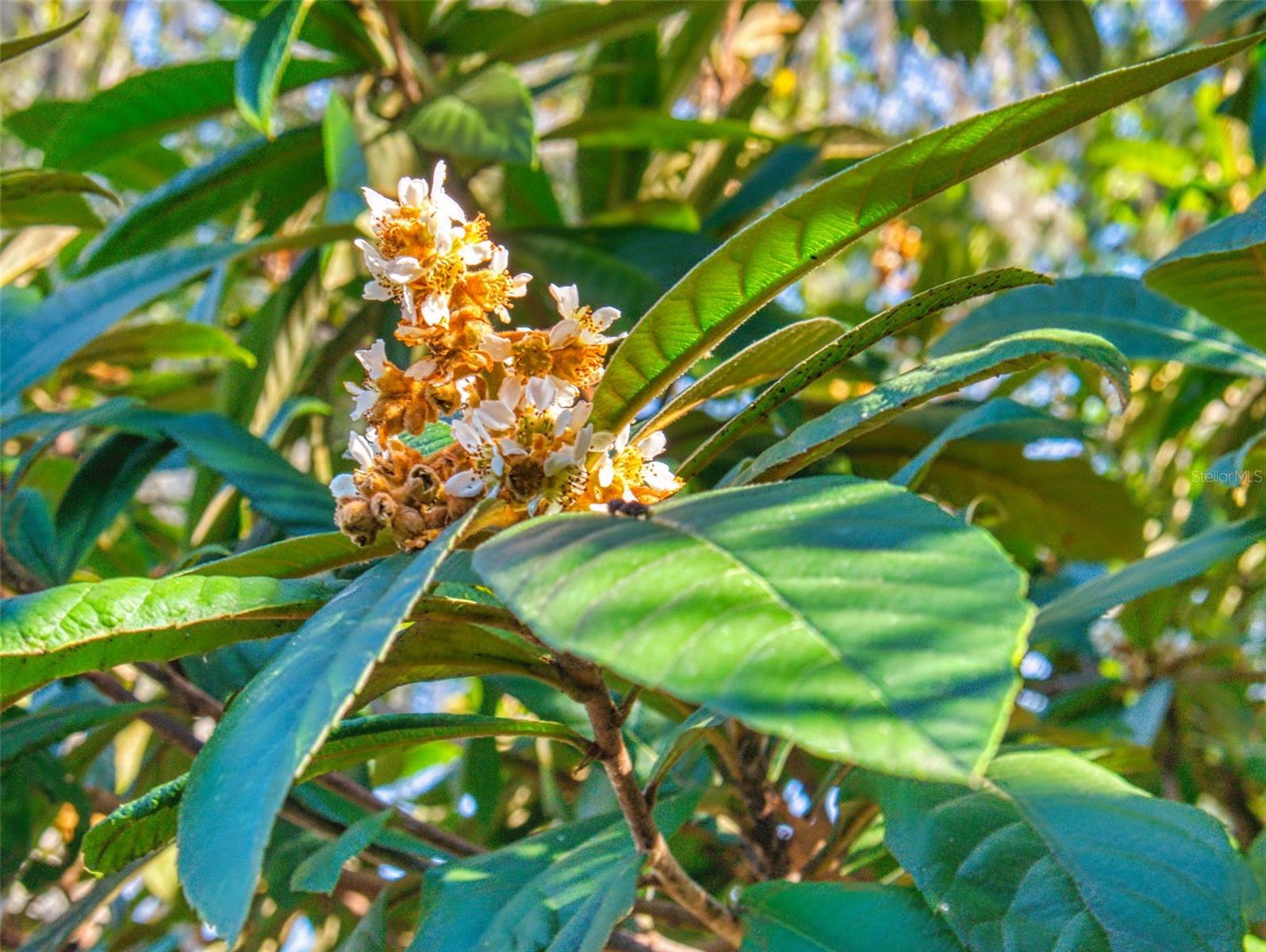 Image 82 of 100 For 3851 Thistlewood Way