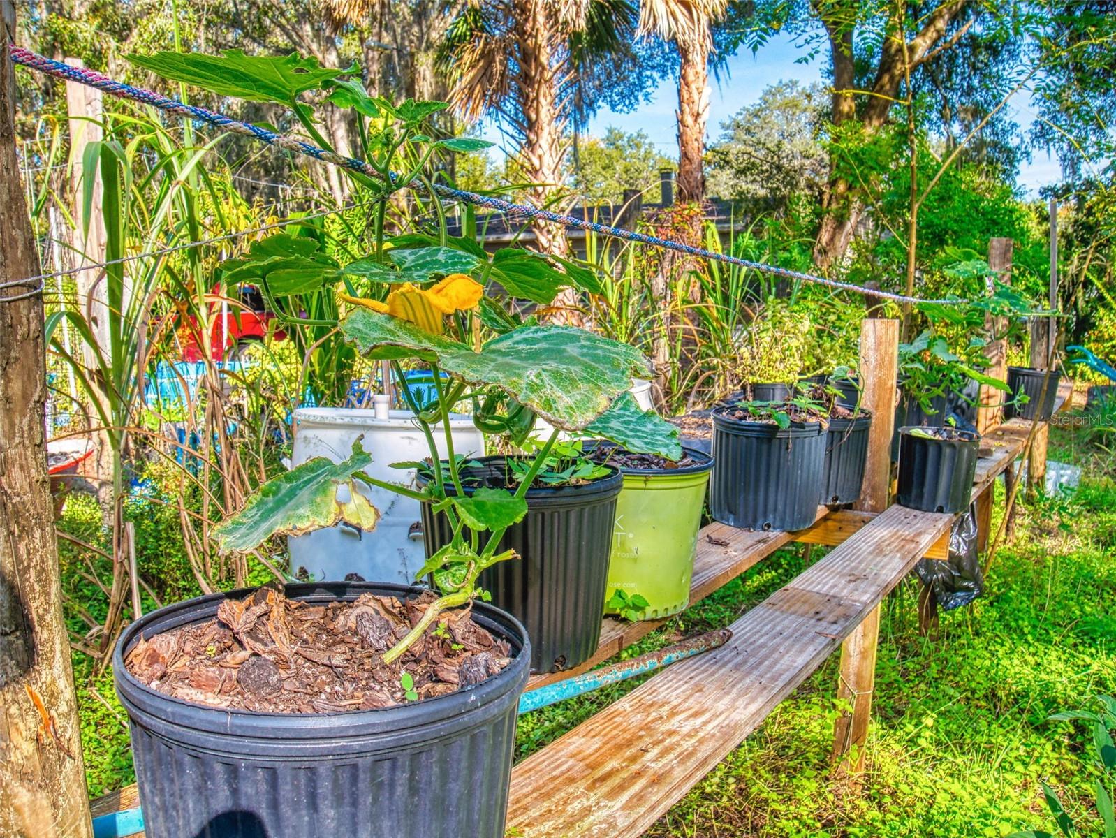 Image 83 of 100 For 3851 Thistlewood Way