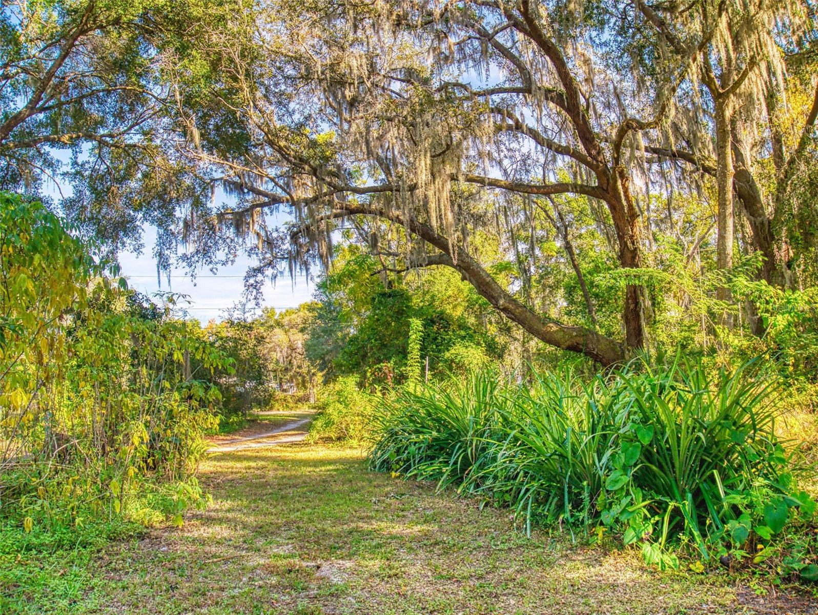 Image 84 of 100 For 3851 Thistlewood Way