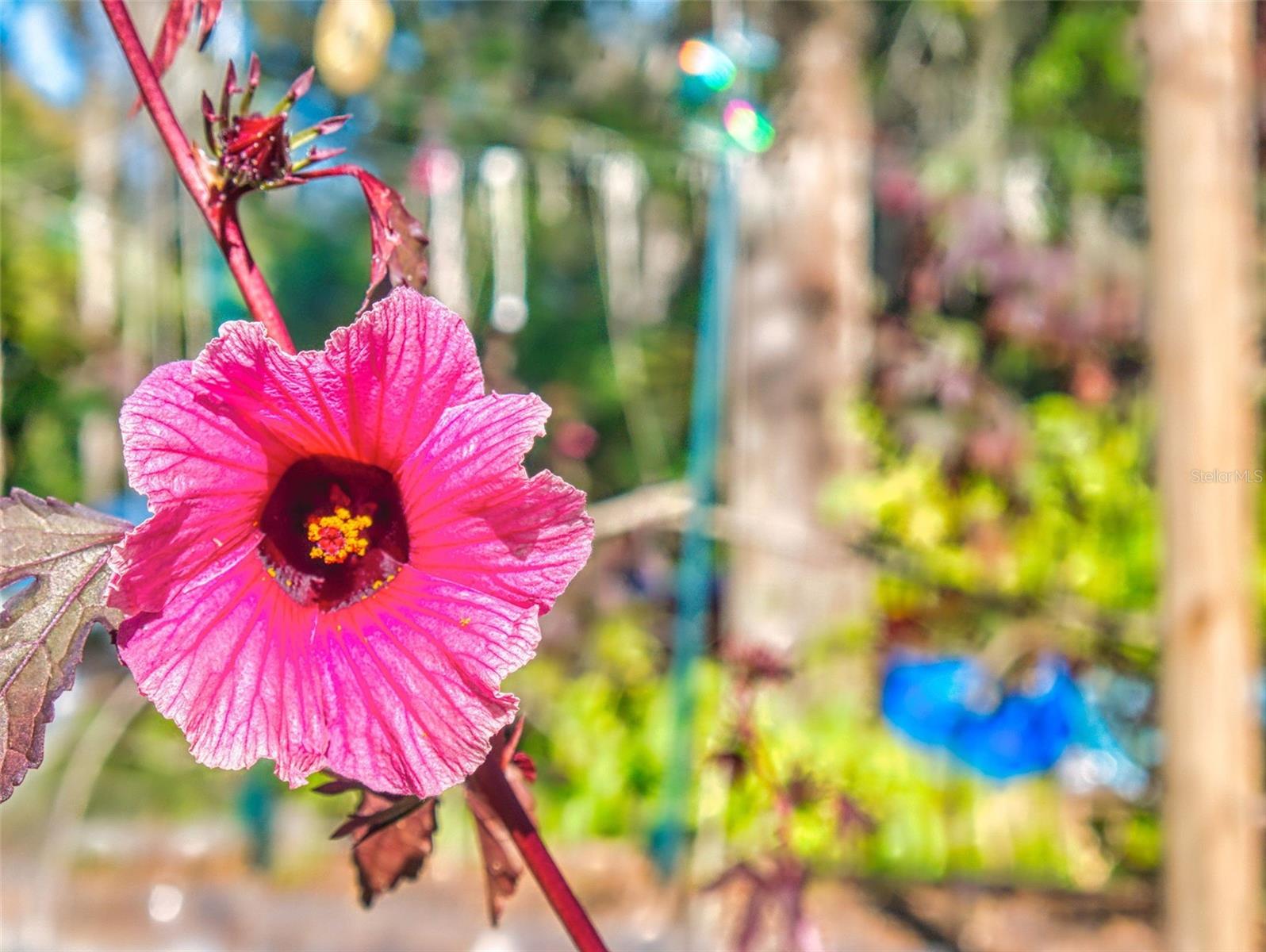 Image 85 of 100 For 3851 Thistlewood Way