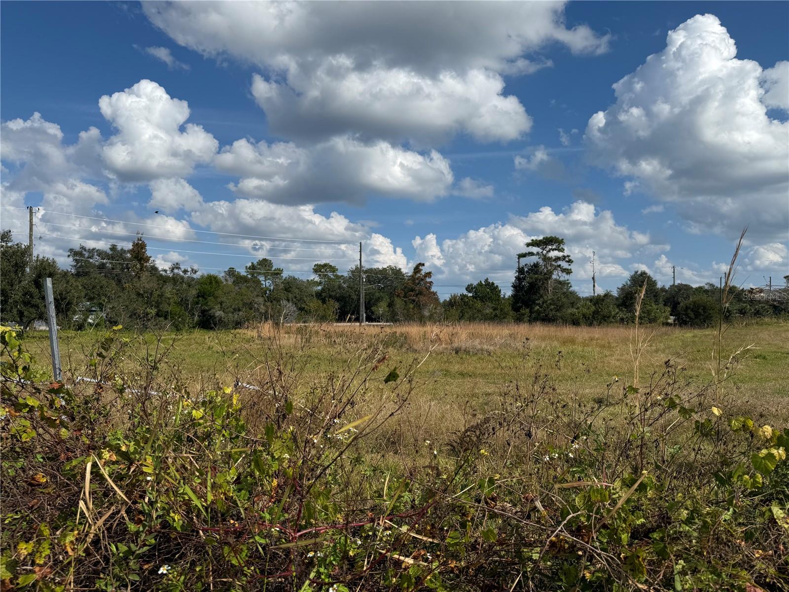 Image 26 of 33 For 21862 Fort Christmas Road