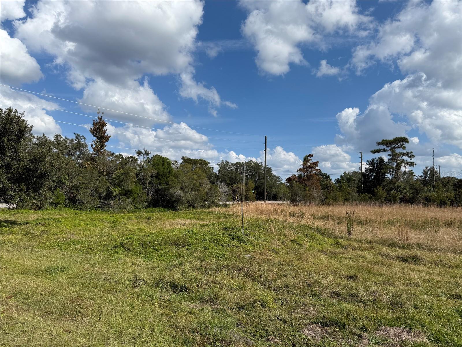 Image 29 of 33 For 21862 Fort Christmas Road