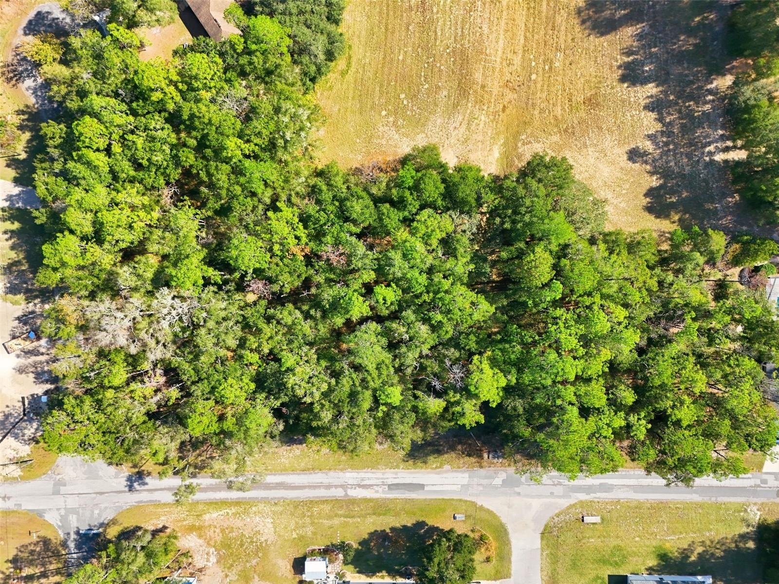 Image 2 of 7 For 10441 Biscayne Drive