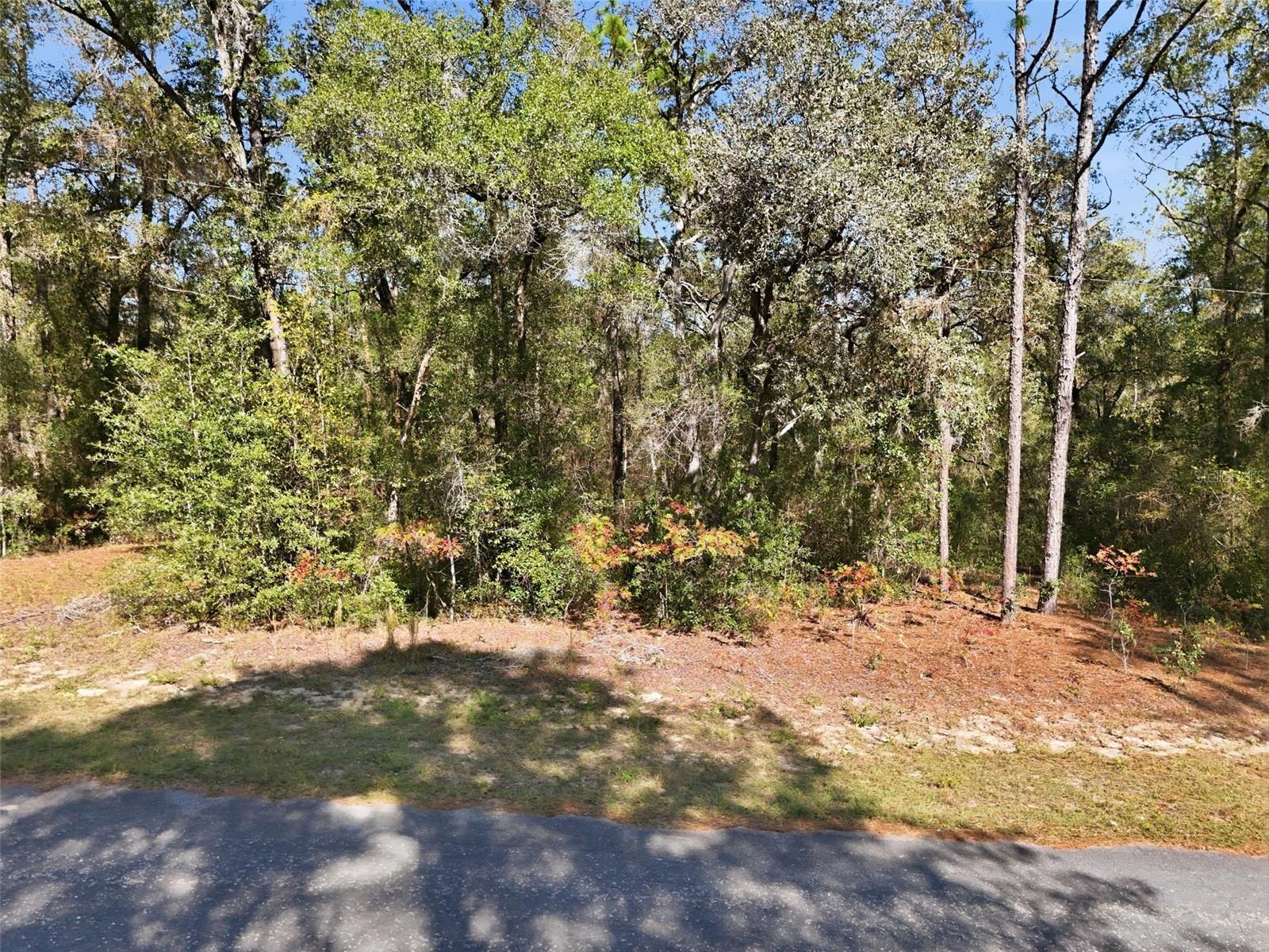 Image 7 of 7 For 2237 Striblin Drive