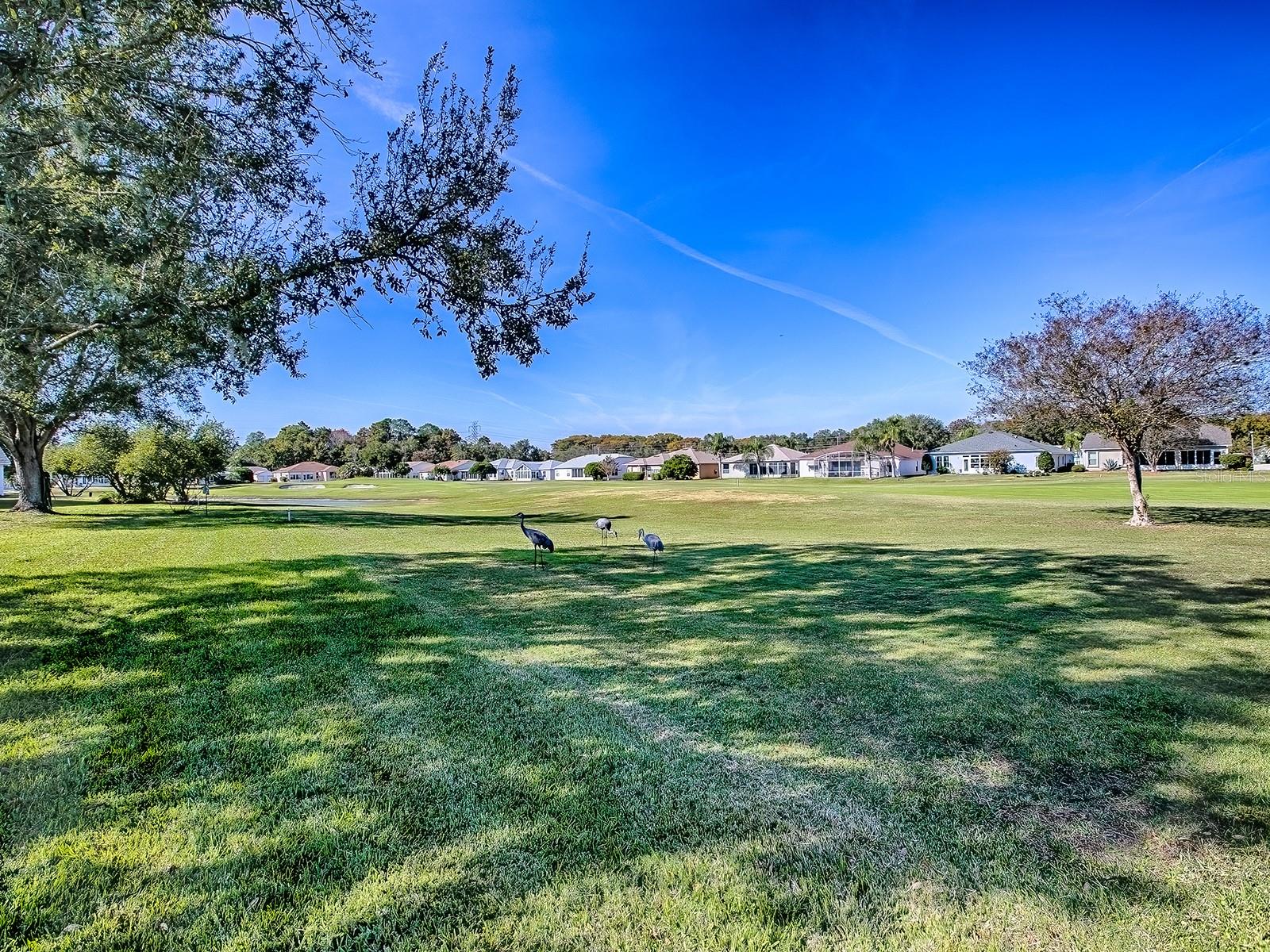 Image 30 of 48 For 353 Grand Vista Trail