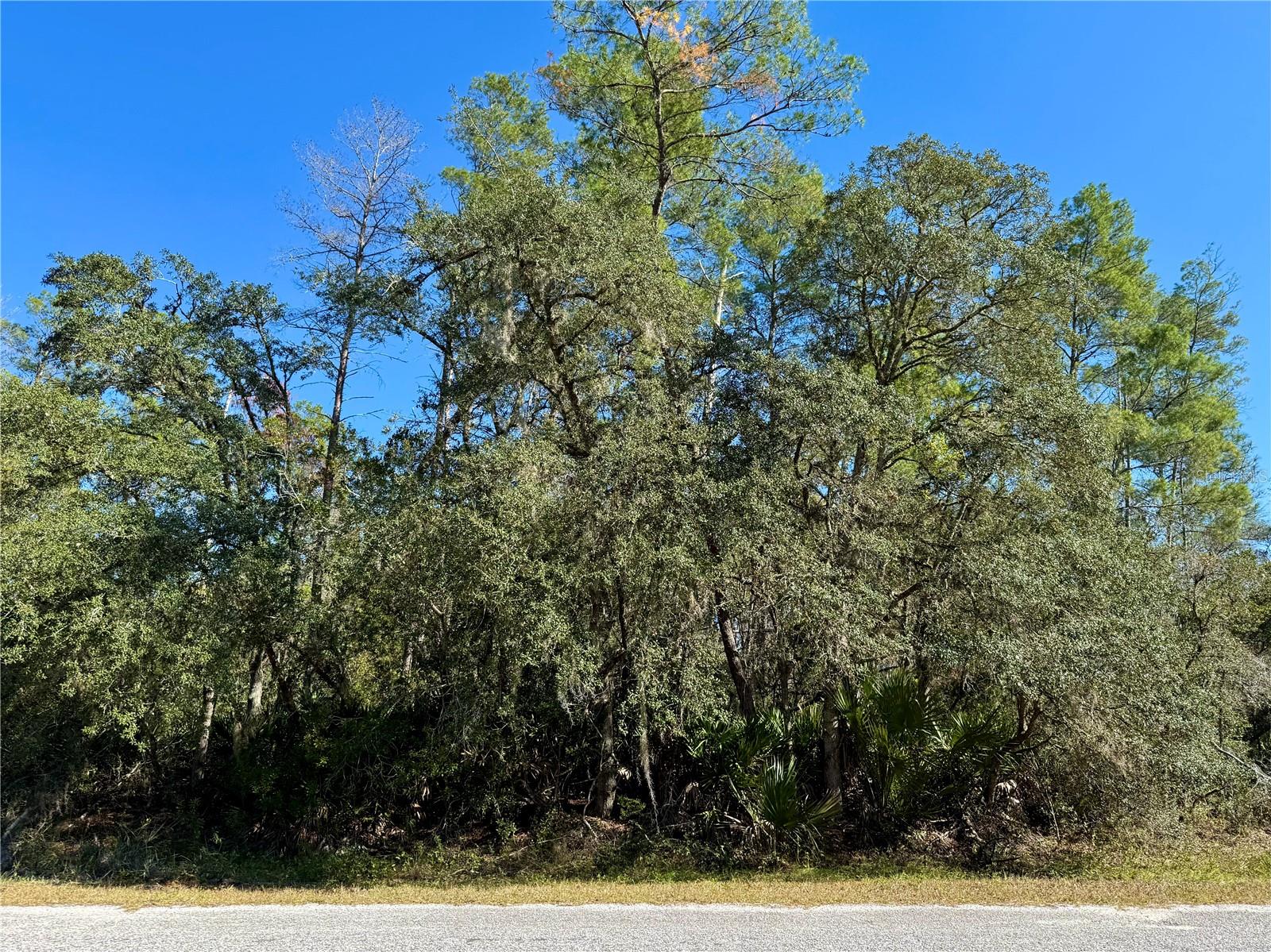 Image 12 of 26 For Lot 11 Tulip Avenue