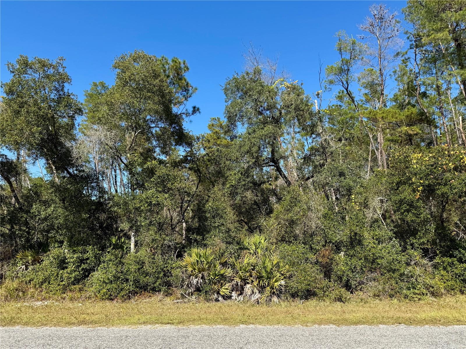 Image 8 of 26 For Lot 11 Tulip Avenue