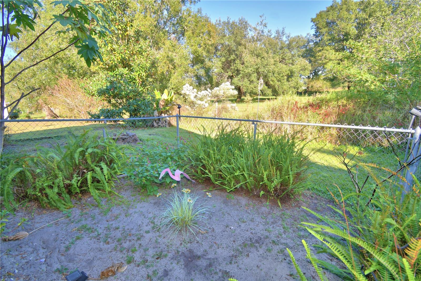 Image 50 of 74 For 329 El Dorado