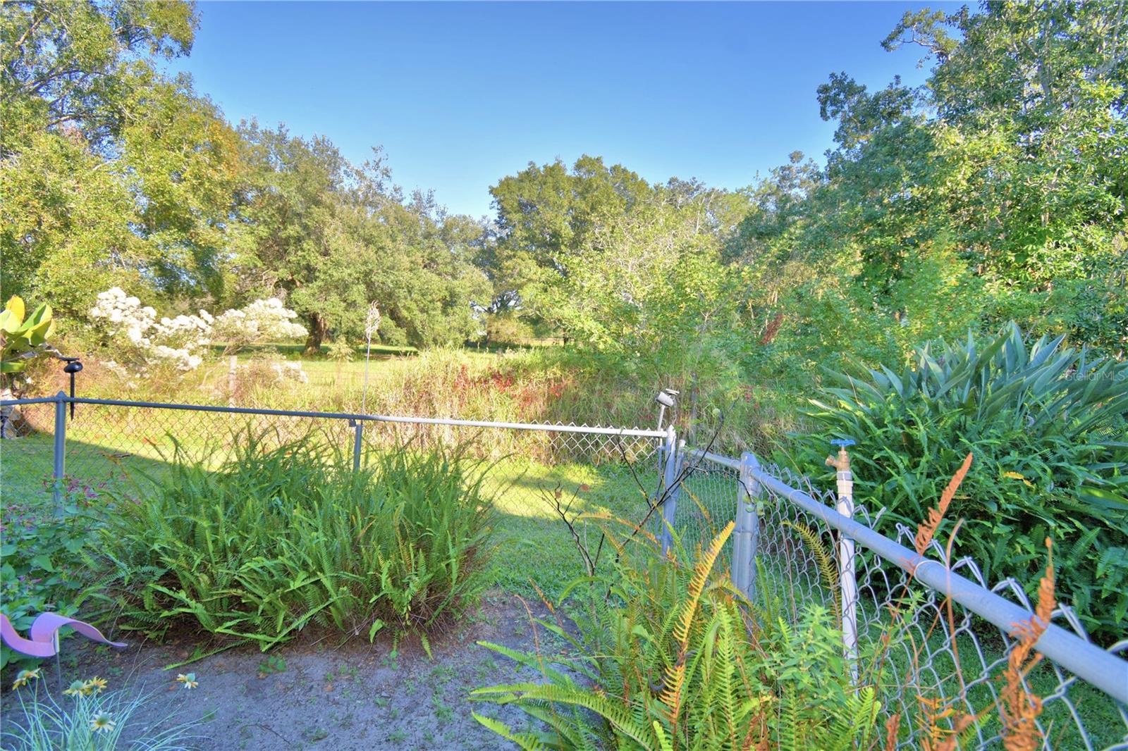 Image 51 of 74 For 329 El Dorado