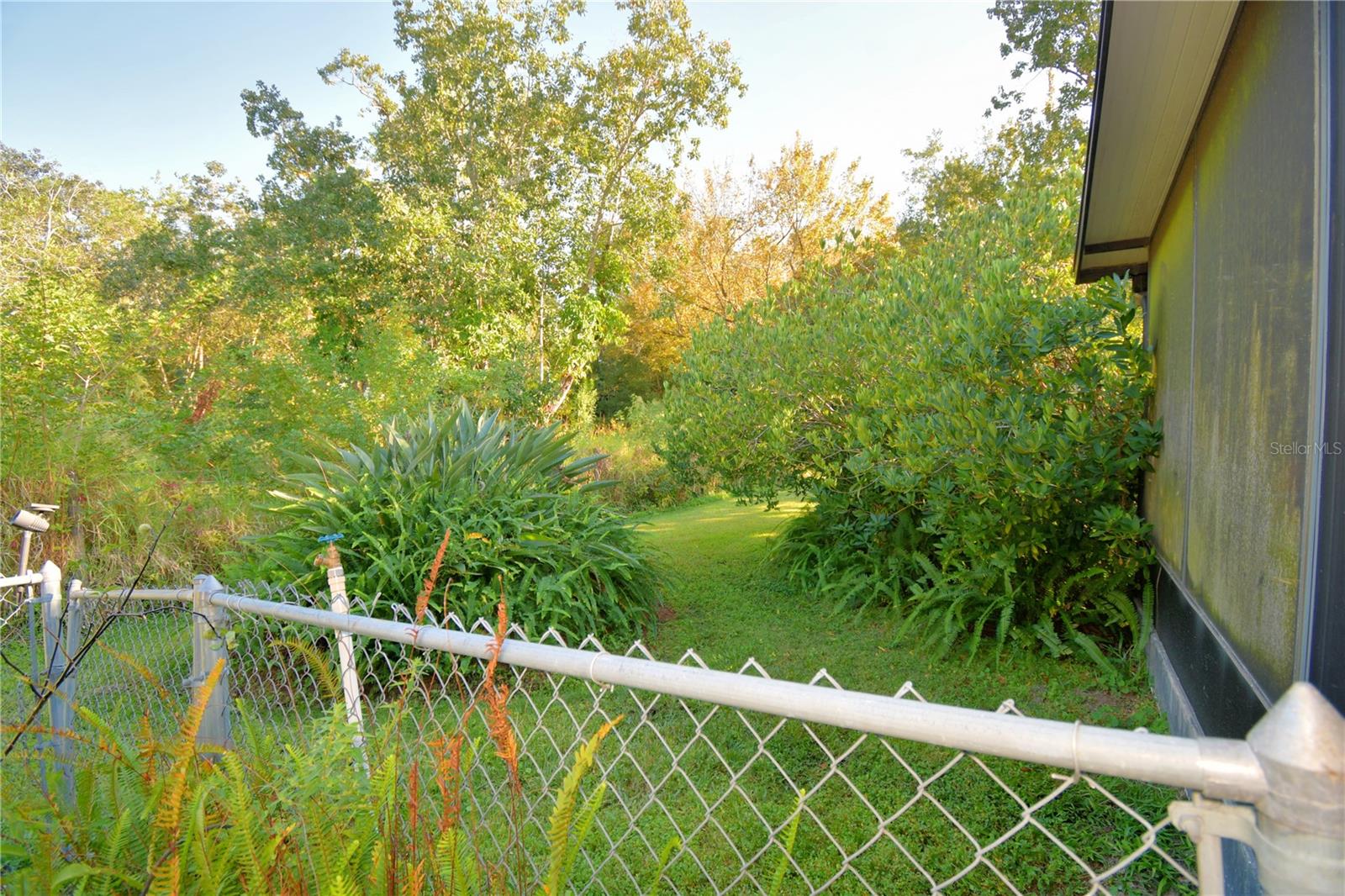 Image 52 of 74 For 329 El Dorado