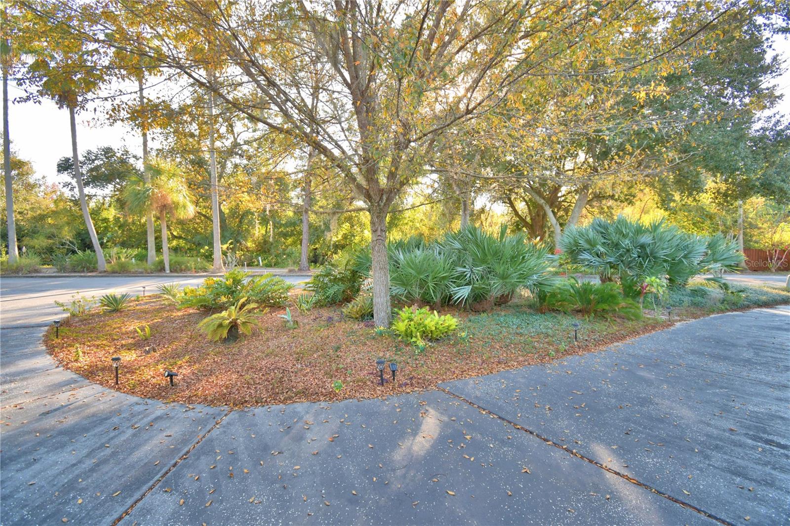 Image 59 of 74 For 329 El Dorado