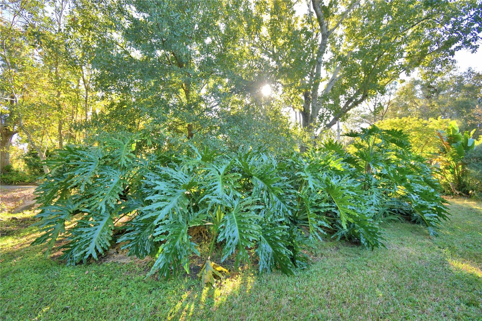 Image 60 of 74 For 329 El Dorado