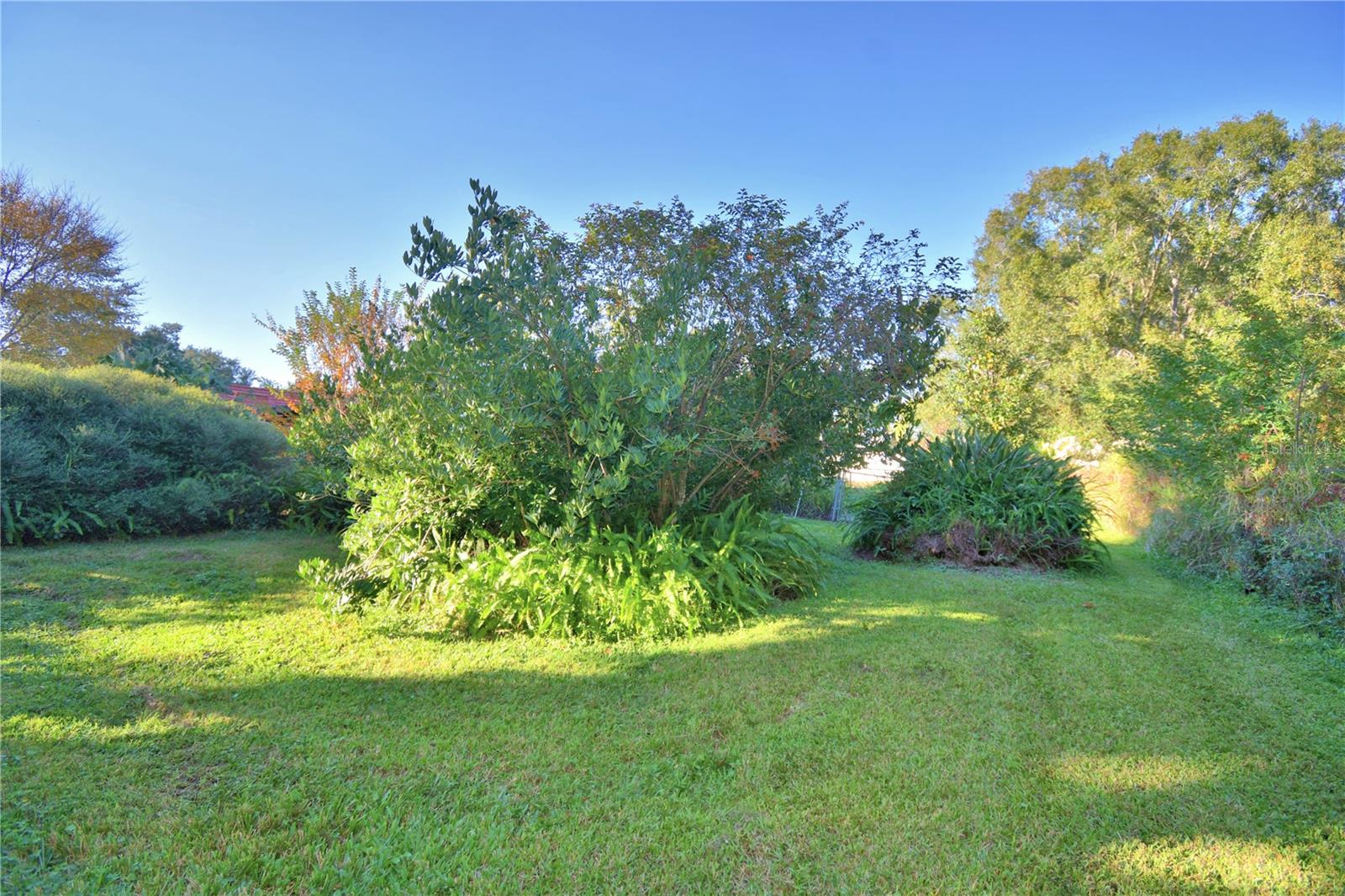 Image 61 of 74 For 329 El Dorado