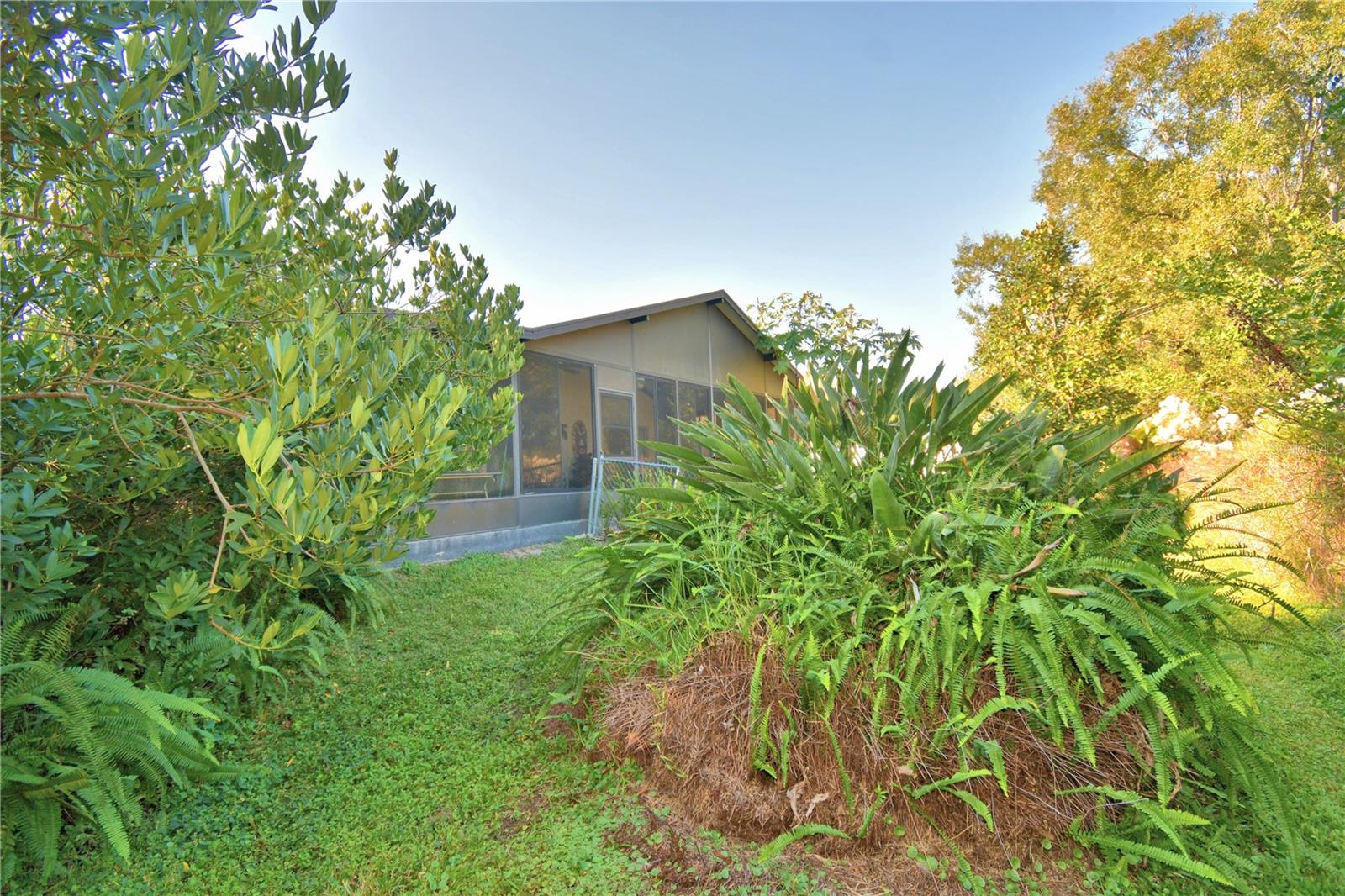 Image 62 of 74 For 329 El Dorado