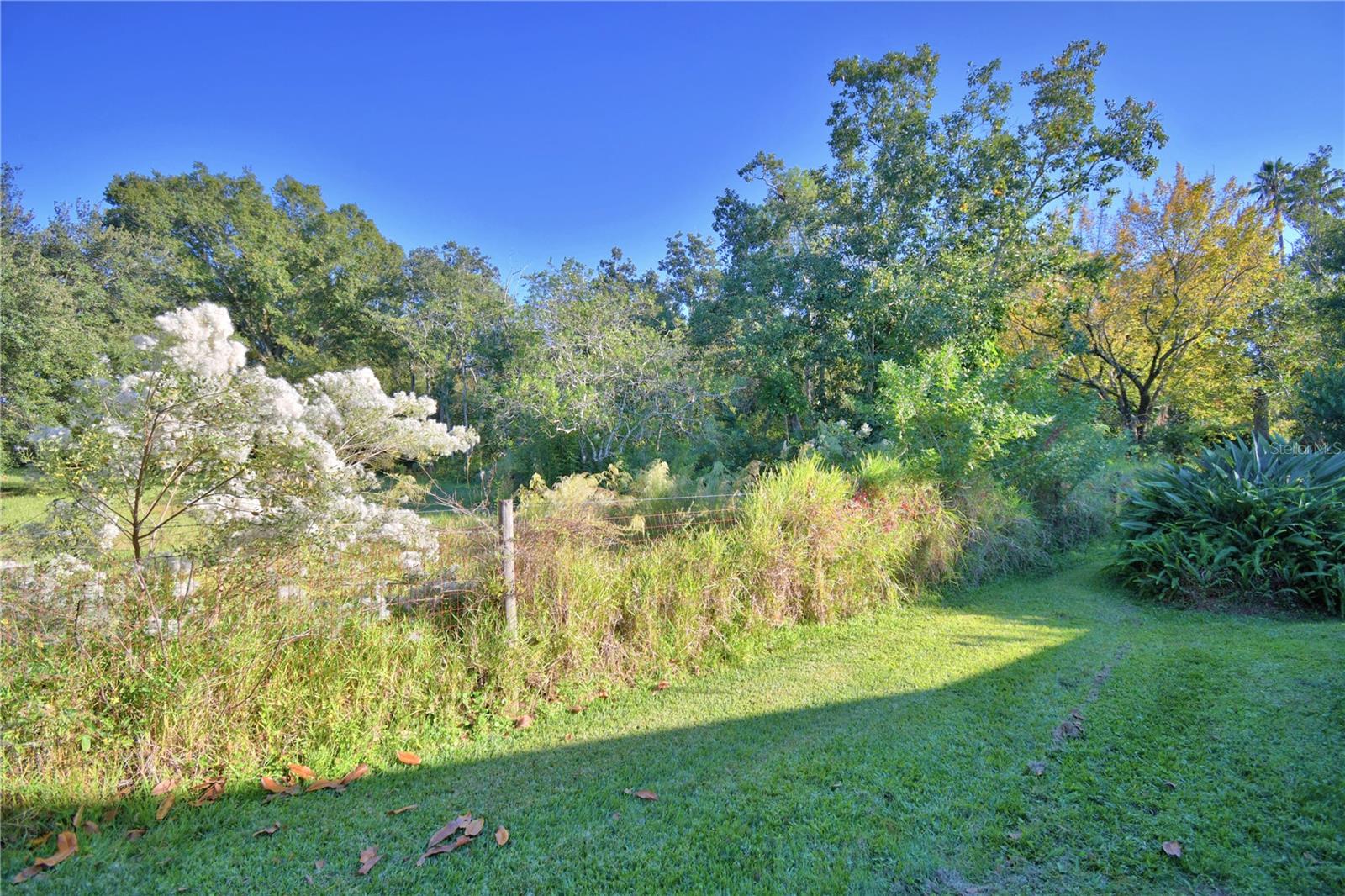 Image 63 of 74 For 329 El Dorado