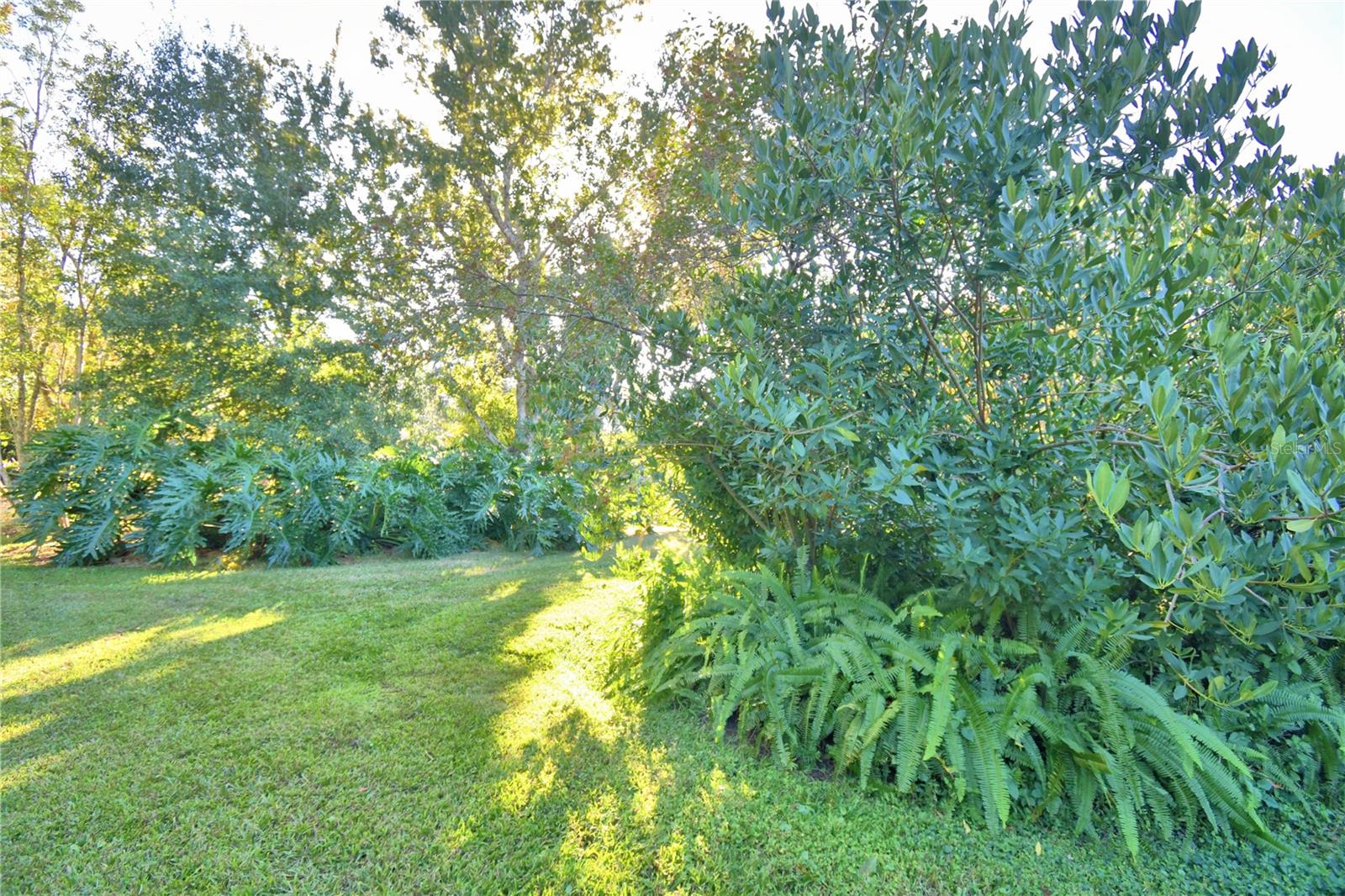 Image 64 of 74 For 329 El Dorado