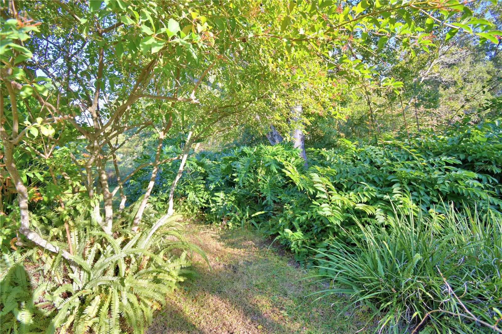 Image 65 of 74 For 329 El Dorado