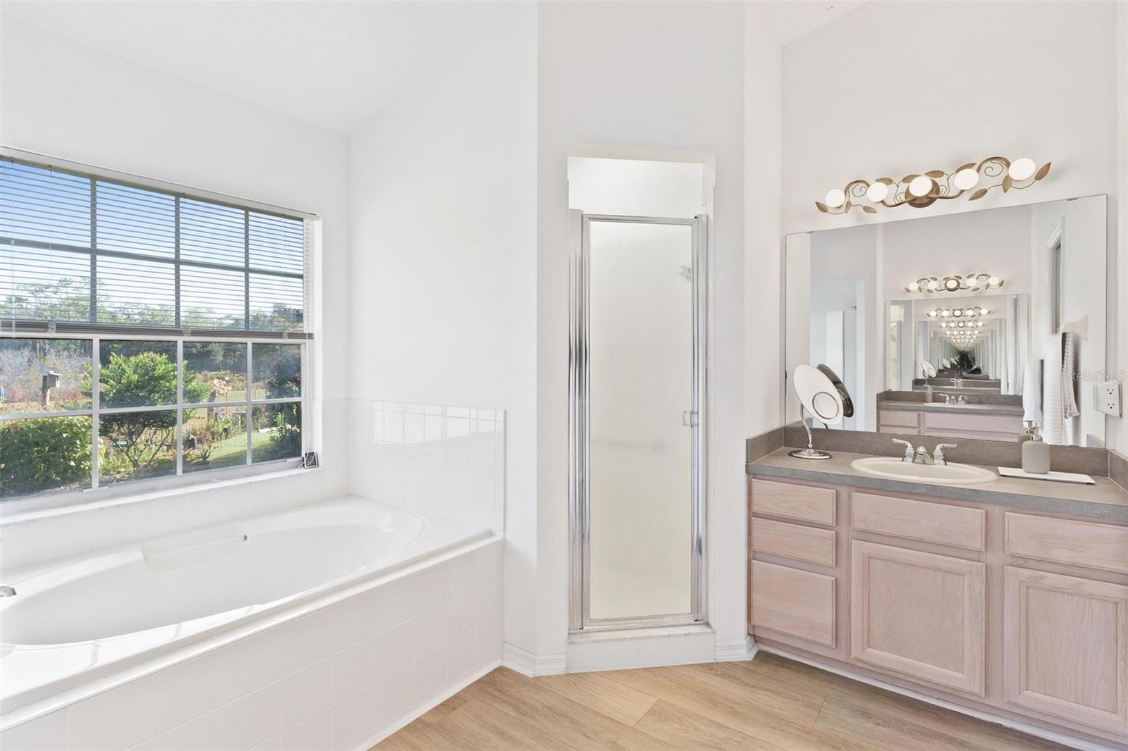 Image 24 of 55 For 25440 Crestwater Drive