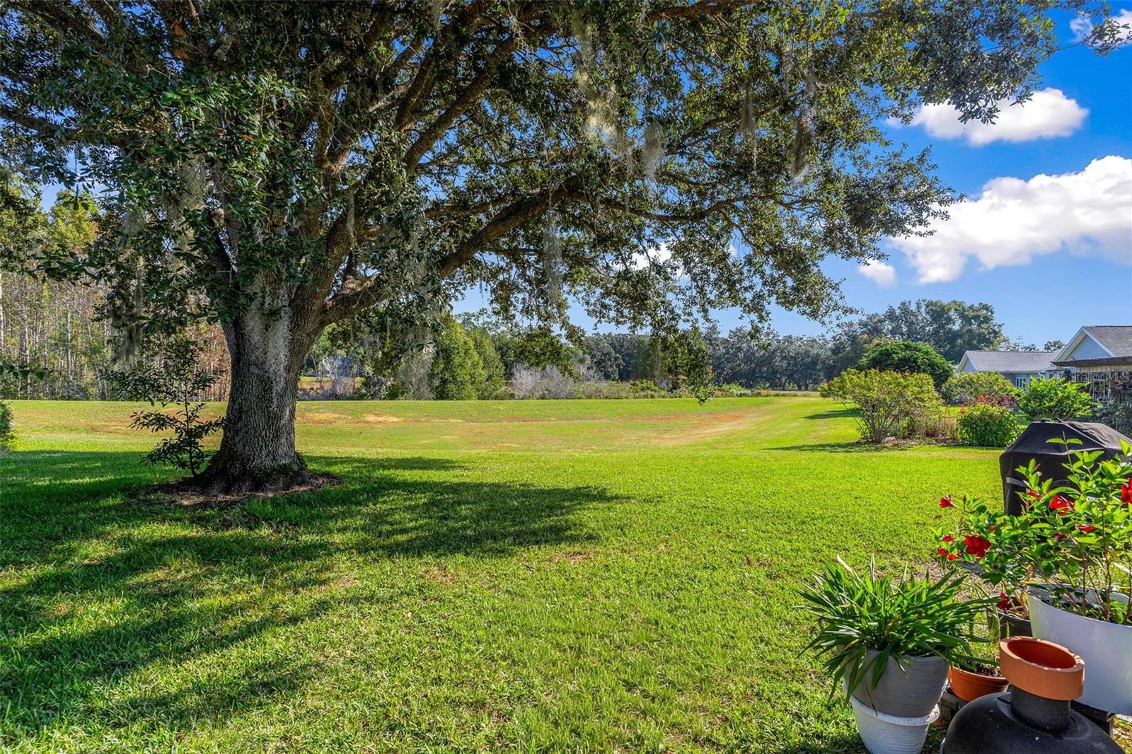 Image 39 of 55 For 25440 Crestwater Drive