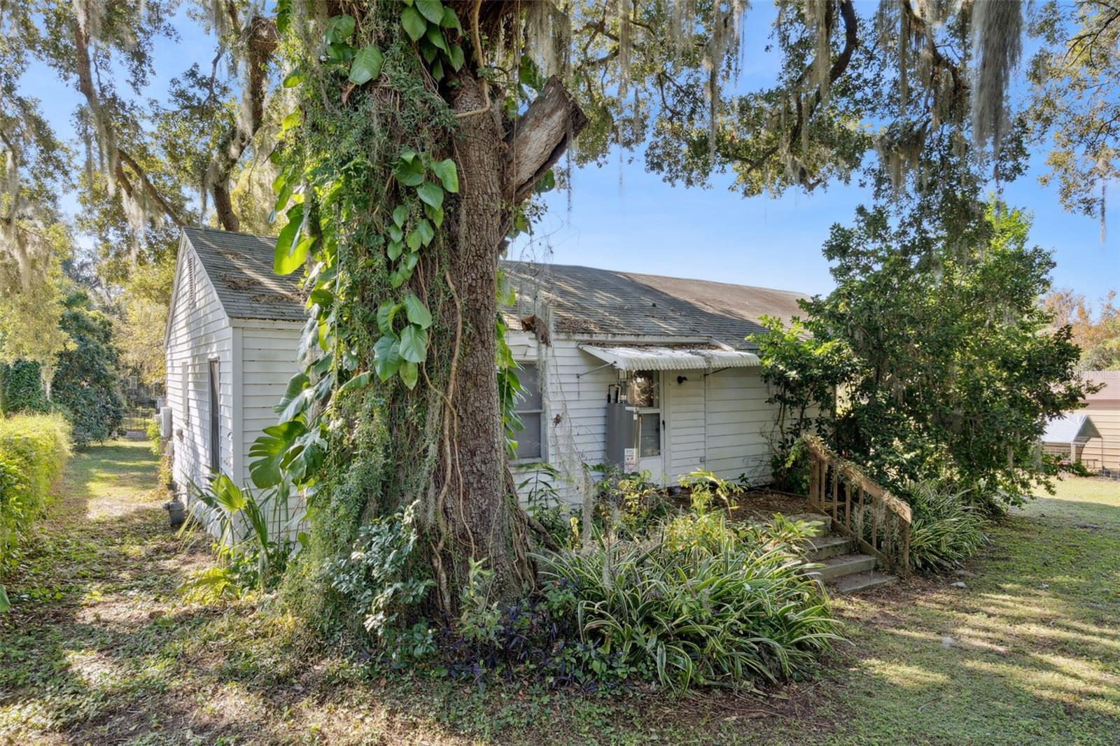 Image 14 of 17 For 10 Lucerne Circle