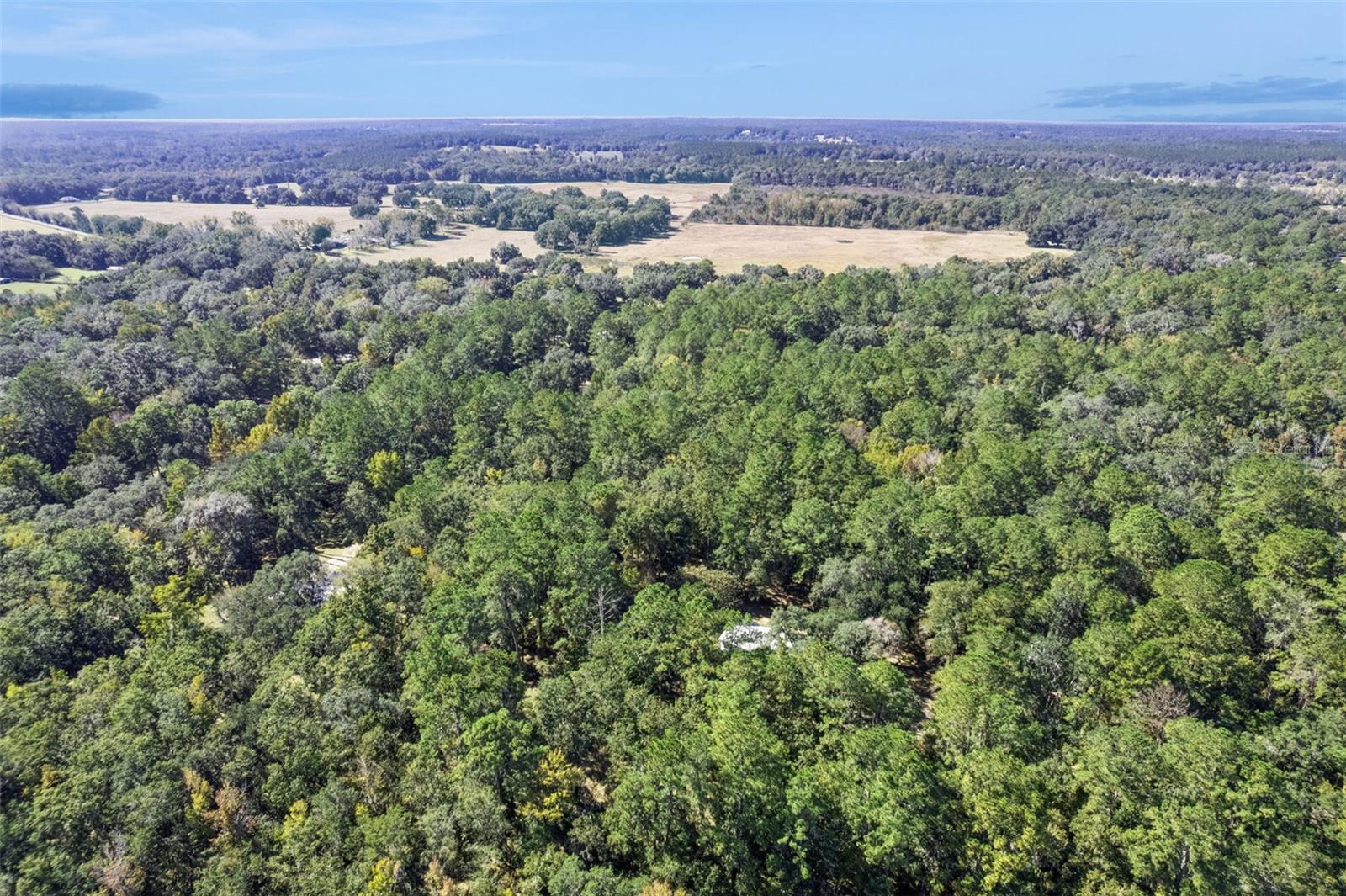 Image 44 of 49 For 17059 Highway 329