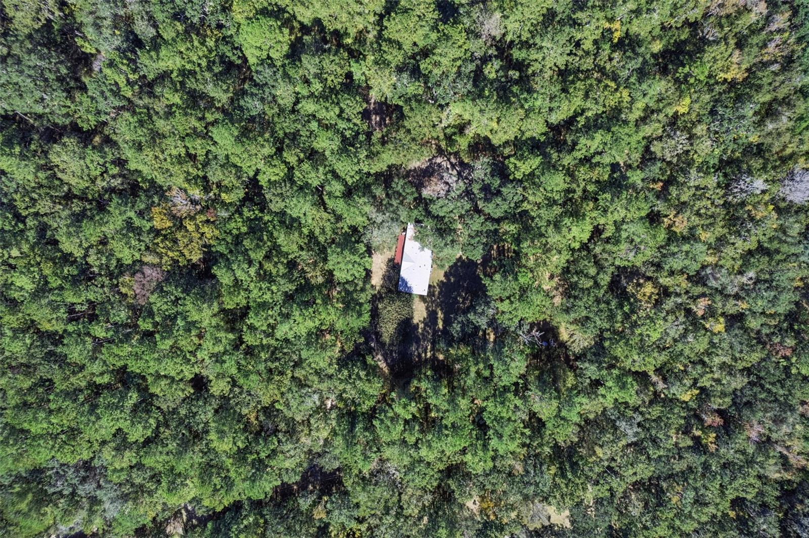 Image 46 of 49 For 17059 Highway 329