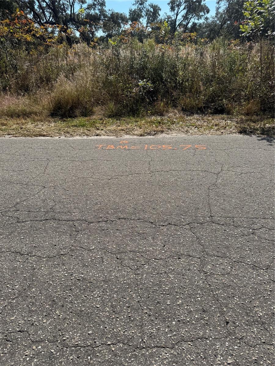 Image 5 of 8 For 115 Place Road