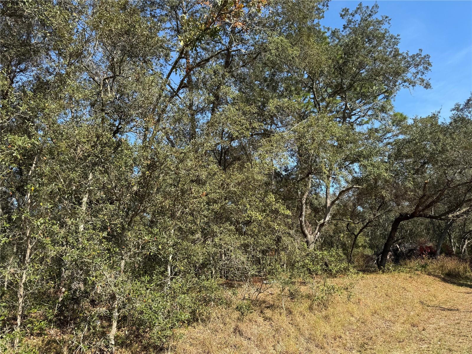 Image 6 of 8 For 115 Place Road