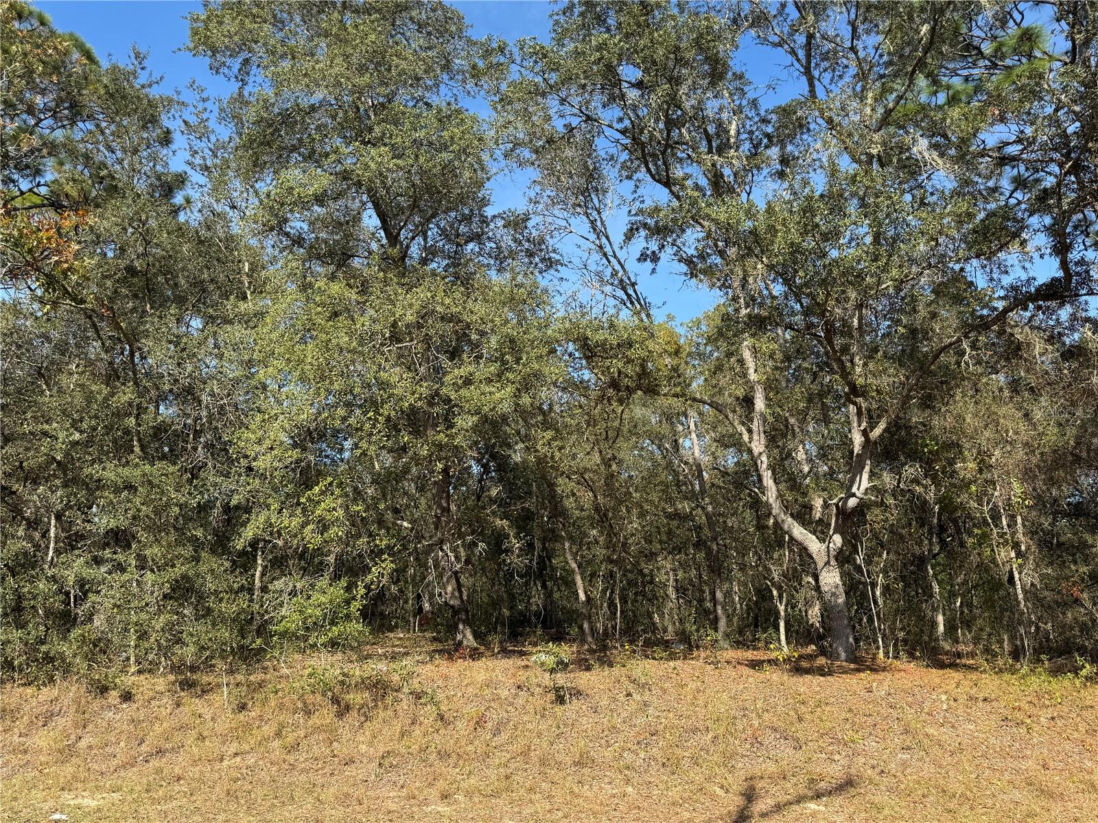 Image 8 of 8 For 115 Place Road