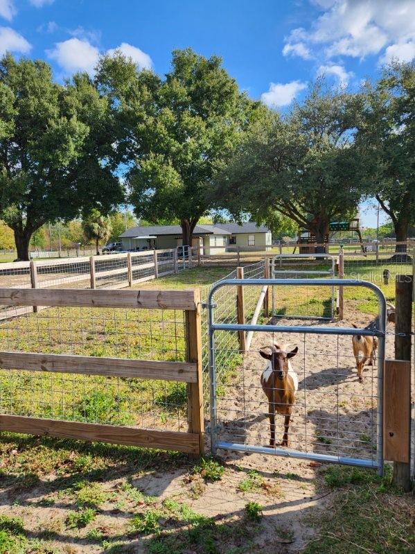 Image 33 of 35 For 37445 Grays Airport Road