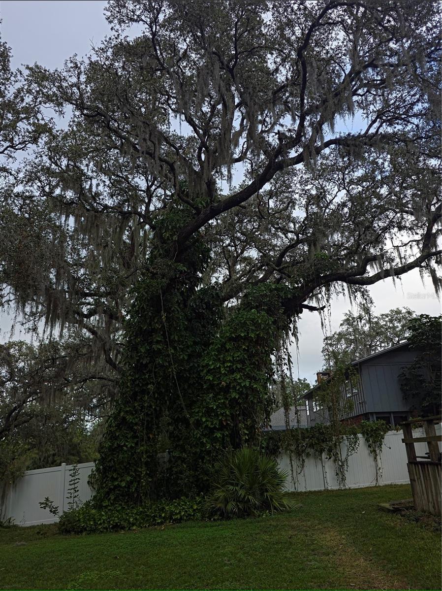 Image 32 of 35 For 34041 Highland Road