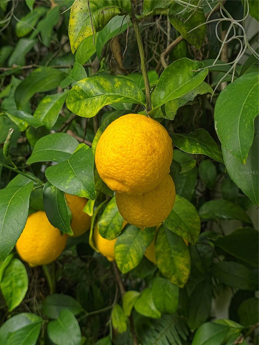 Image 33 of 35 For 34041 Highland Road