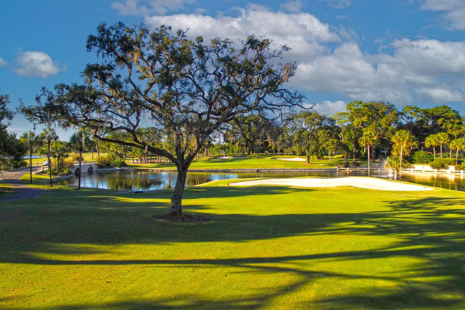 Image 41 of 49 For 103 Camino Real Boulevard