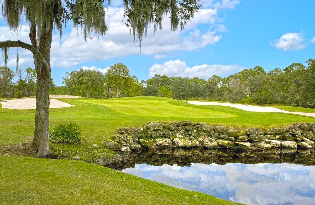 Image 43 of 49 For 103 Camino Real Boulevard