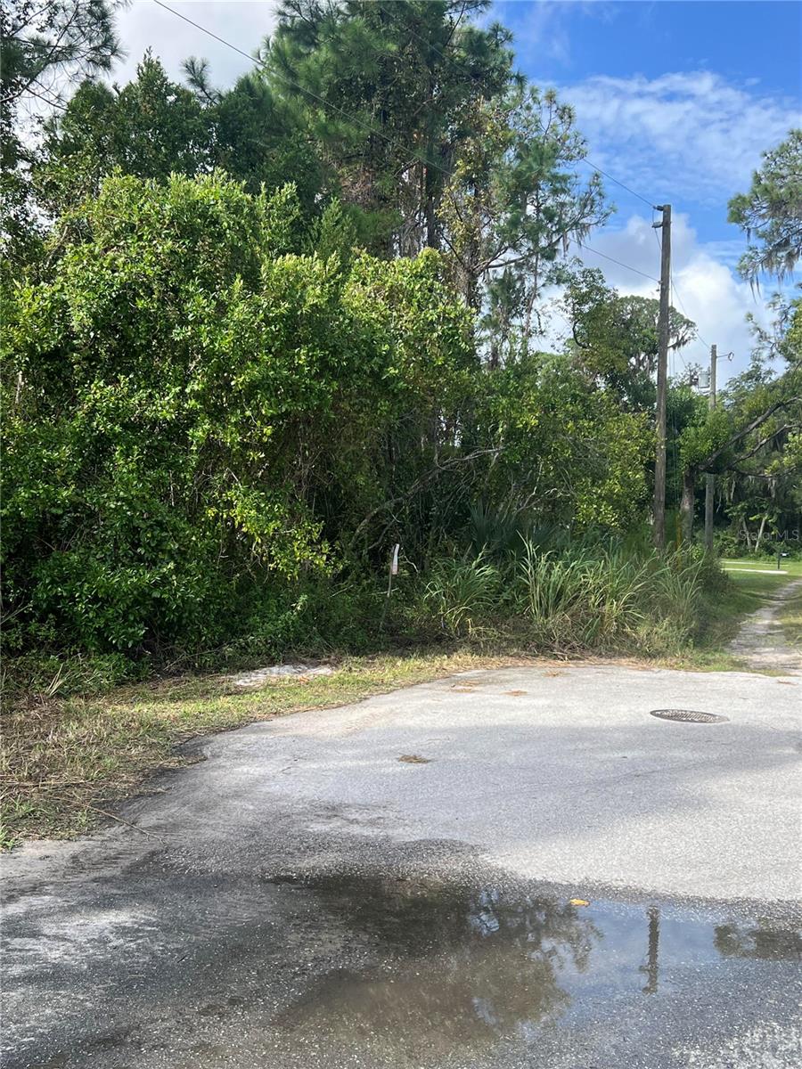 Details for Herrick Avenue, EUSTIS, FL 32726