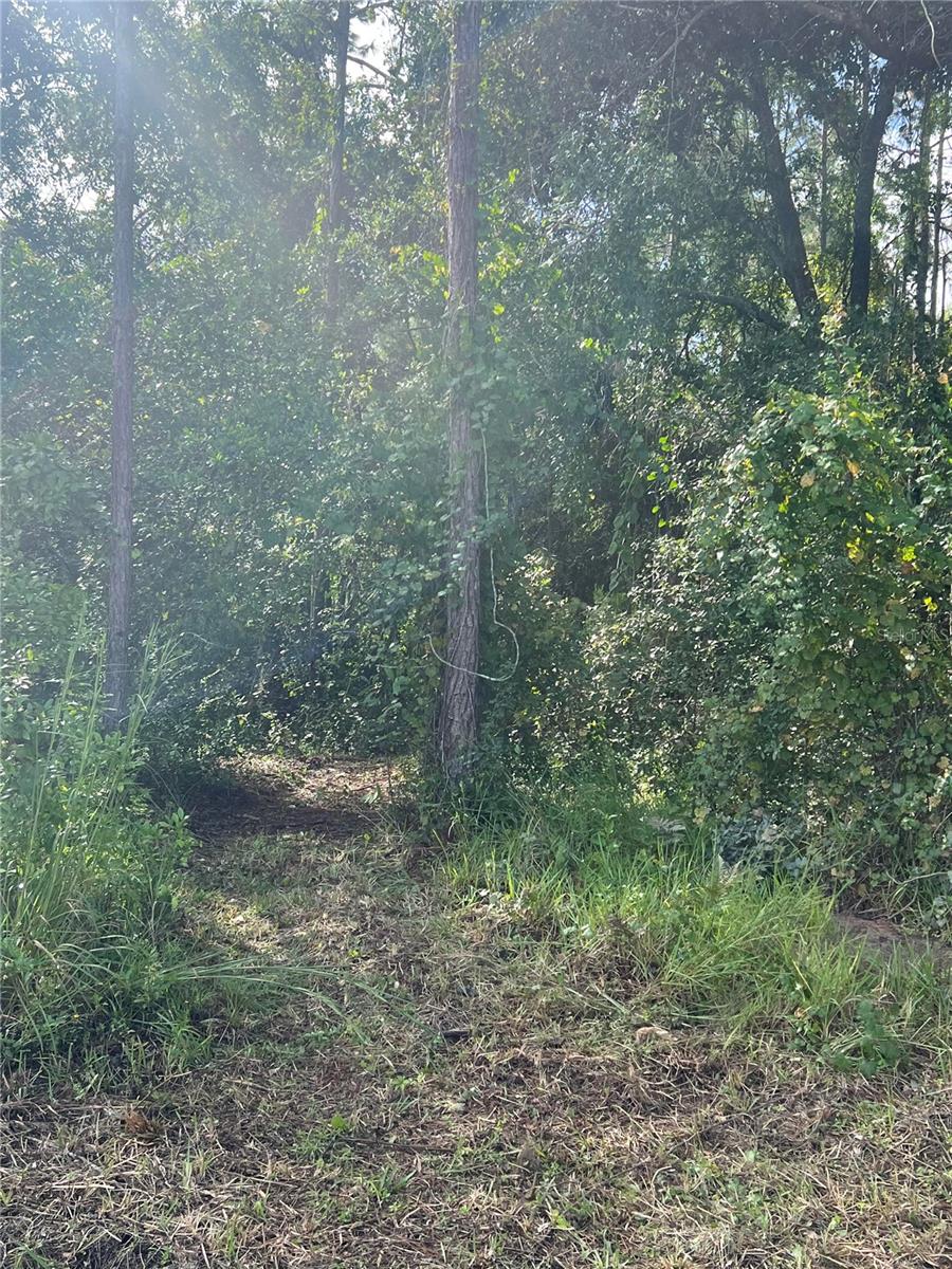 Image 2 of 4 For Herrick Avenue