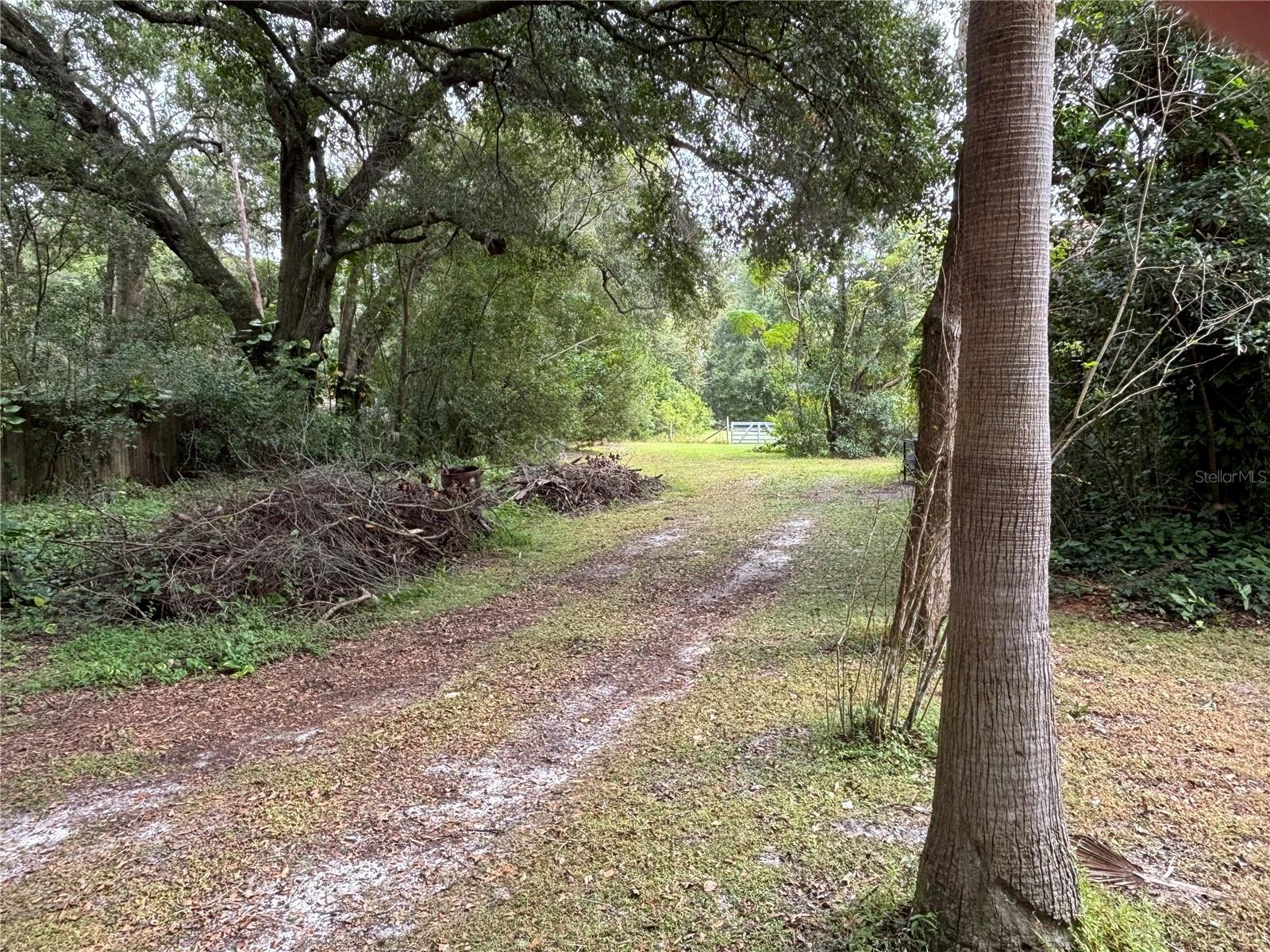 Image 14 of 21 For 3427 Golden Gem Road