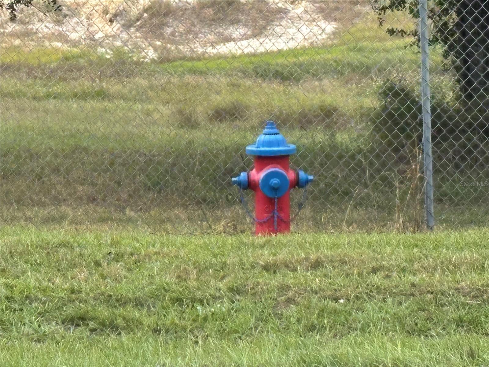 Image 2 of 21 For 3427 Golden Gem Road