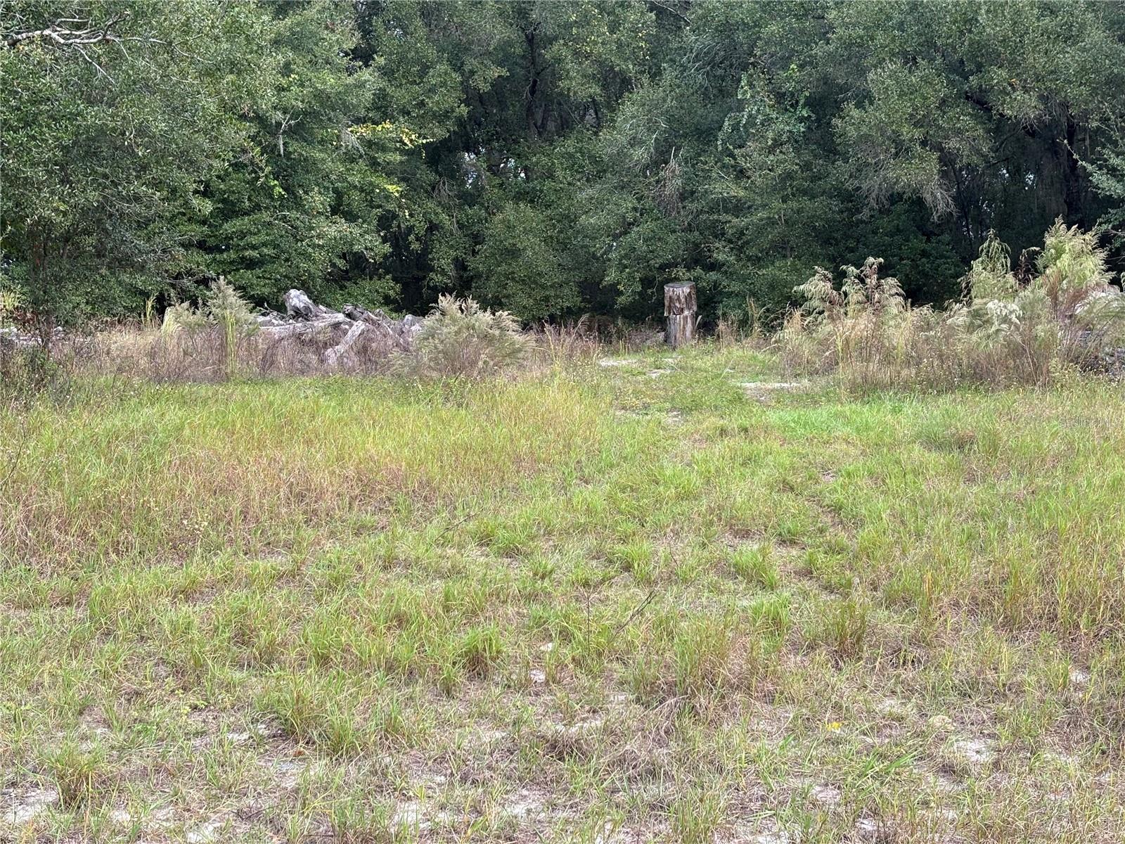 Image 6 of 21 For 3427 Golden Gem Road