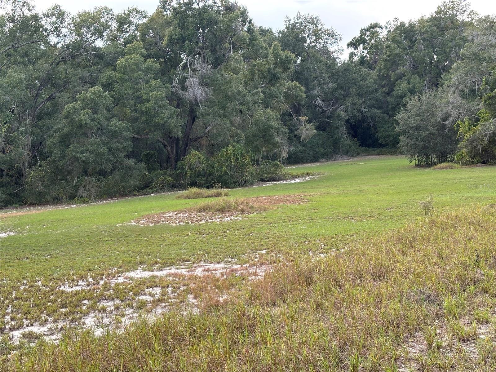 Image 9 of 21 For 3427 Golden Gem Road