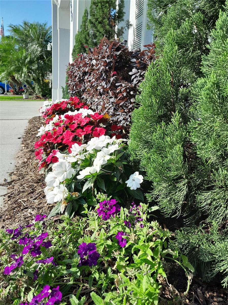 Image 36 of 44 For 2539 Caithness Way