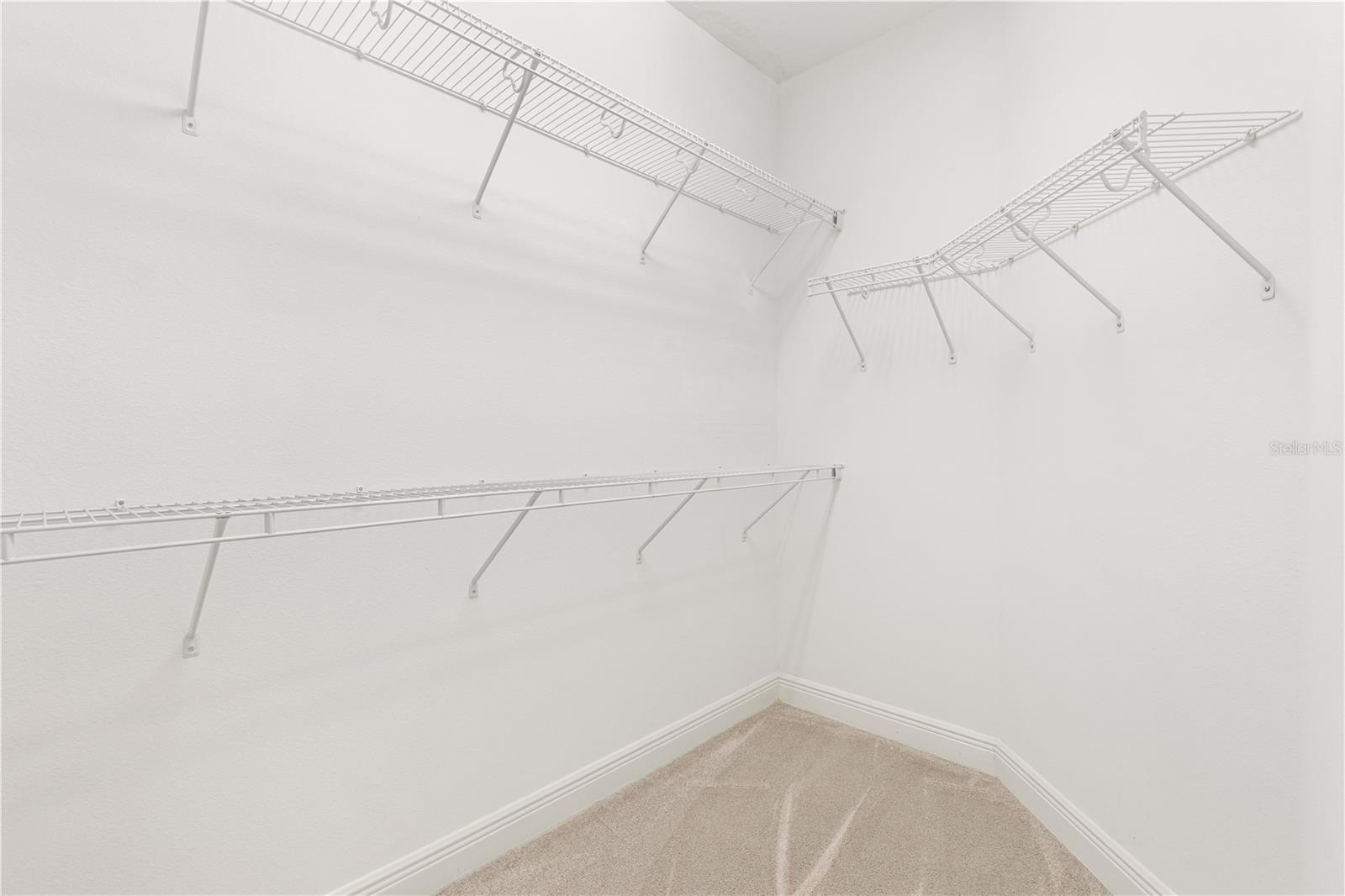 Image 27 of 28 For 6109 Spinnaker Loop